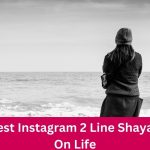 Instagram 2 Line Shayari On Life