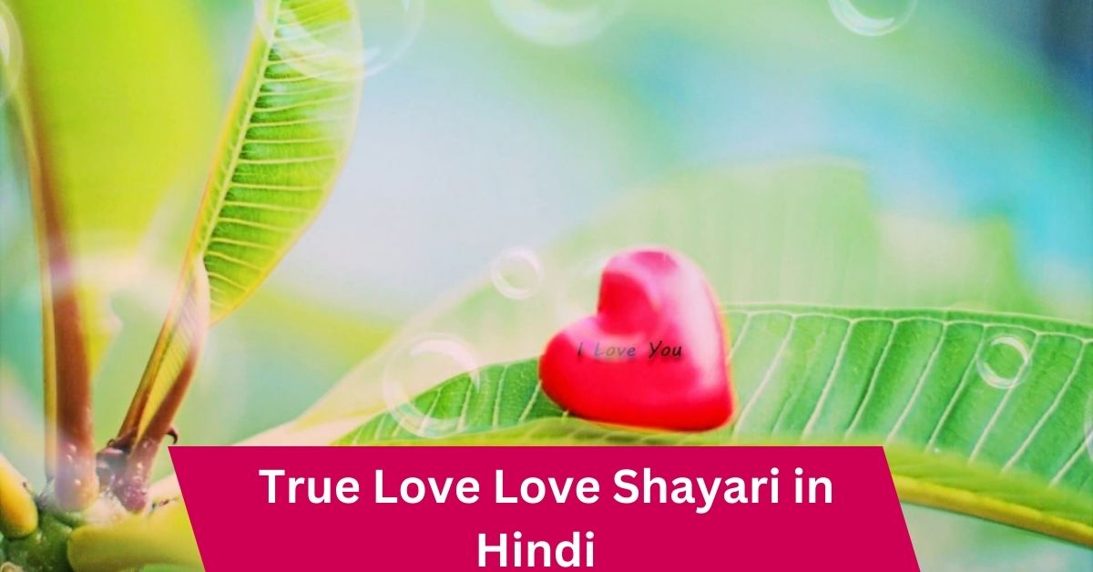 True Love Love Shayari in Hindi